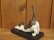 画像7: 小澤康麿　陶猫　のび猫（ハチワレ）