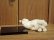 画像7: 小澤康麿　陶猫　のび猫（三毛）
