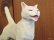 画像3: 小澤康麿　陶猫　のび猫（白）