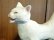 画像4: 小澤康麿　陶猫　のび猫（白）