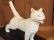 画像2: 小澤康麿　陶猫　のび猫（白）