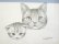 画像2: 東マユミ　鉛筆画「親子猫」 (2)