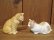 画像4: 小澤創磨　陶猫　「木箱の二匹」