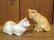 画像5: 小澤創磨　陶猫　「木箱の二匹」