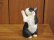 画像3: 小澤創磨　陶猫　「手びねり箱猫（ハチワレ）」