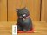 画像1: まる工房　陶猫　「吉兆招き猫」黒猫（牙） (1)