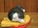 画像4: まる工房　陶猫　「たい焼き猫」ハチワレ