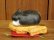画像3: まる工房　陶猫　「たい焼き猫」ハチワレ