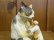 画像10: 小澤康麿　陶猫　『笛吹き猫』