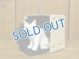小澤康麿　陶猫　『箱猫』