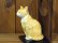 画像4: まる工房　陶猫　「丸窓猫」茶トラ