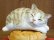 画像2: まる工房　陶猫　「たい焼き猫」キジ