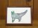 画像1: キムラトモミ　額装銅版画　『猫と魚』 (1)