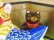 画像3: 河辺花衣　『金猫太郎と子熊ちゃん』茶トラ
