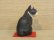 画像3: まる工房　陶猫　「山猫屋猫」 (3)