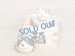 画像1: まる工房　陶猫　「福増猫（右手挙げ）」犬面