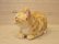 画像4: 小澤康麿　陶猫　『茶トラこねこ』