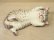 画像8: 小澤康麿　陶猫　『寝子』