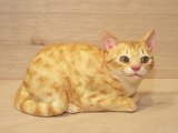 小澤康麿　陶猫　『茶トラこねこ』