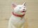 画像2: 小澤創磨　陶猫　『こねこ　白』