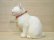 画像5: 小澤創磨　陶猫　『こねこ　白』