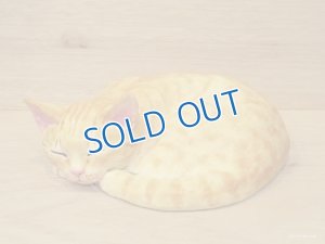 画像1: 小澤創磨　陶猫　『こねこ　茶トラ』