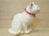 画像4: 小澤創磨　陶猫　『こねこ　白』