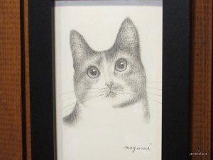 画像2: 東マユミ　額装鉛筆画