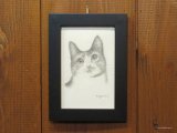 東マユミ　額装鉛筆画