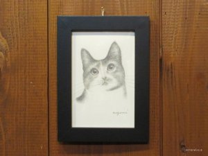 画像1: 東マユミ　額装鉛筆画