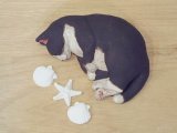 小澤創磨　陶猫　『海でくつろぐ』