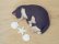 画像1: 小澤創磨　陶猫　『海でくつろぐ』 (1)