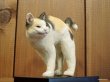 画像2: 小澤康麿　陶猫　のび猫（三毛）