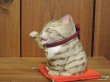 画像4: まる工房　陶猫　吉兆招き猫　キジトラ