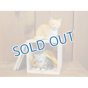 画像: 小澤創磨　陶猫　「木箱の二匹」