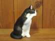 画像3: 小澤創磨　陶猫　『招き猫ハチワレ』