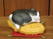 画像1: まる工房　陶猫　「たい焼き猫」ハチワレ