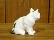 画像6: 小澤康麿　陶猫　『箱猫』