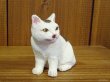 画像5: 小澤康麿　陶猫　『箱猫』