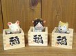 福増猫は別売りです