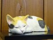 画像2: 小澤創磨　陶猫　『夢見る三毛猫』
