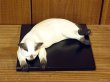 画像2: 小澤創磨　陶猫　『夢見るシャム猫』