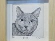 画像2: 東マユミ　銅版画　『愛猫』