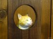 画像5: まる工房　陶猫　「丸窓猫」茶トラ