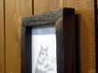 画像3: 東マユミ　額装鉛筆画　『飛ぶ猫』