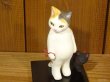 画像8: 小澤康麿　陶猫　「お散歩猫」ミケ