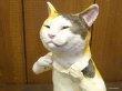 画像3: 小澤康麿　陶猫　『猫をかぶる猫』