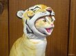 画像3: 小澤創磨　陶猫　『かぶり猫　トラ』