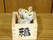 画像3: まる工房　陶猫　「福増猫（お願い）」寅面