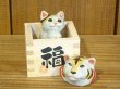 画像1: まる工房　陶猫　「福増猫（お願い）」寅面